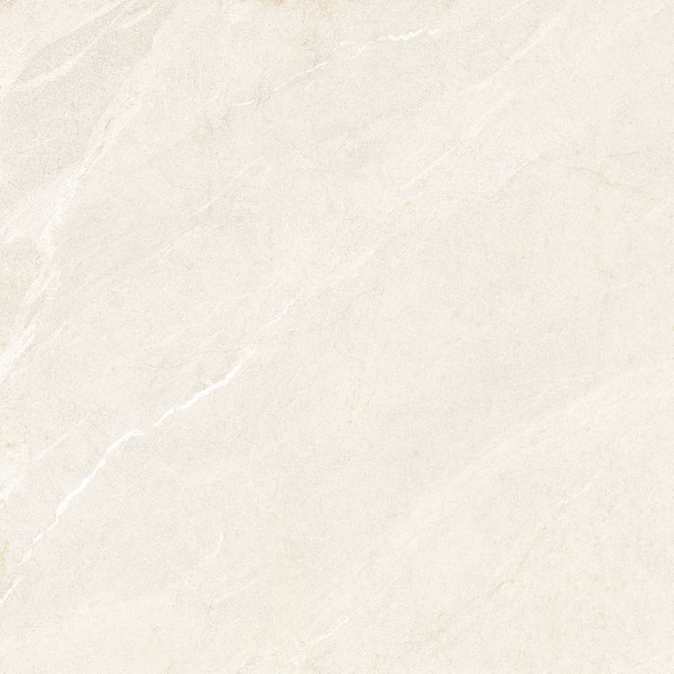 Dhara Sand Matte 48 x 48